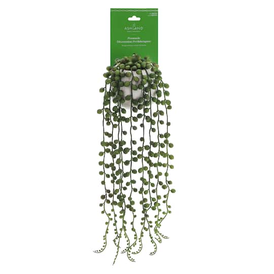 22.5&#x22; String of Pearls in Wall-Mounted Ceramic Pot by Ashland&#xAE;